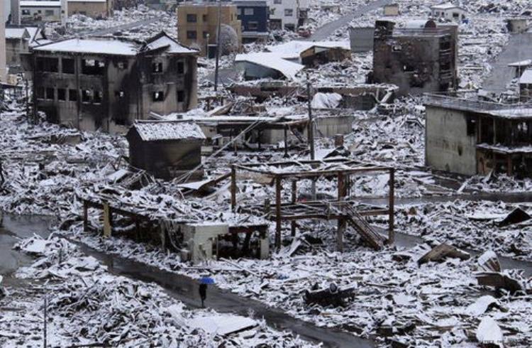 四川地震前多地动物出现异常现象为何专家说与地震无关,四川地震前动物有哪些异常现象