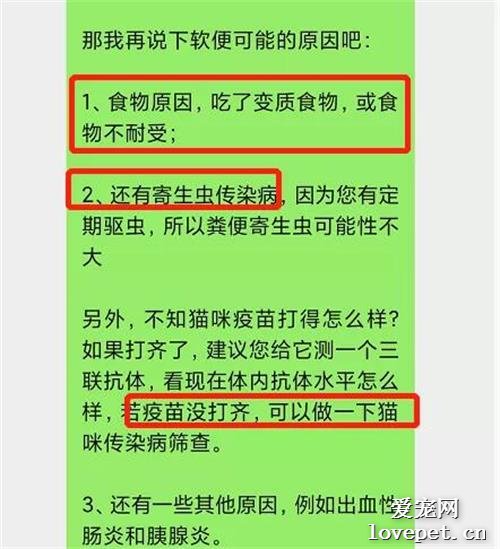 猫突然拉稀，棕红色软便，要不要去医院？！