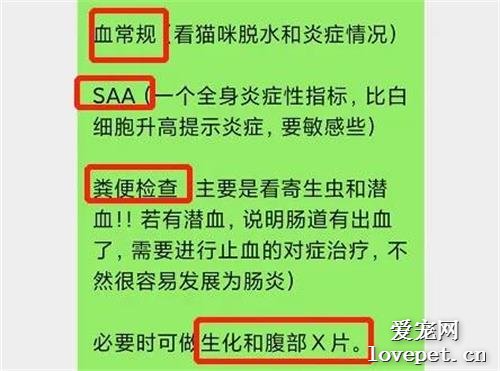 猫突然拉稀，棕红色软便，要不要去医院？！