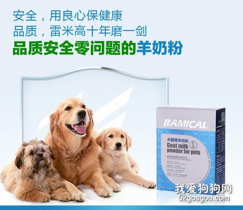 蝴蝶犬喝牛奶好還是羊奶好