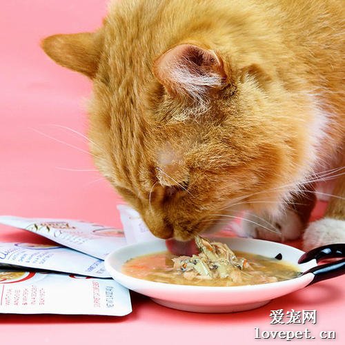 为啥喂猫咪吃湿猫粮，它还是得了尿结石？