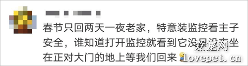 猫是如何理解离别的？网友分享的真实故事让人泪目......