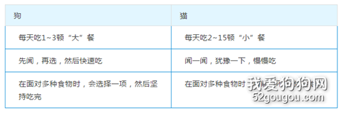 狗狗和猫咪在饮食上有哪些不同？