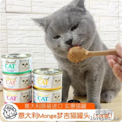 猫咪猫罐头多久吃一次比较合适？